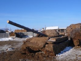 На зависть Ниф-Нифу: не только из палок и гуано