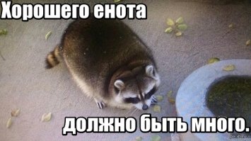 Американский Винни-Пух: в штате Иллинойс спасли толстого енота