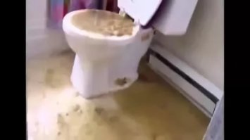 В советское время бывало брагу в унитаз спускали, если менты в хату ломились.