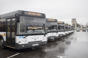 ГАЗель NEXT, ЛИАЗ, КАМАЗ, ВОЛГОБАС