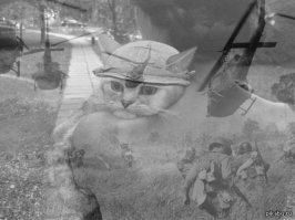 Про Вьетнам - интересные факты