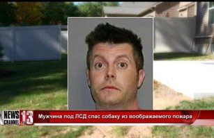 Бл...,Дмитрий Анатольевич!Займитесь уже делом.