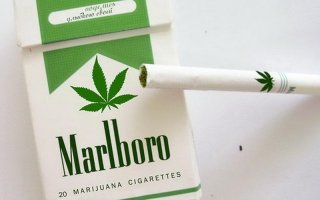 Полиция спасла их от пиратов Амазонки, но они сбежали — из-за спрятанной в фургоне марихуаны