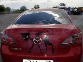 Кто еще узнал кота "депресняка"?