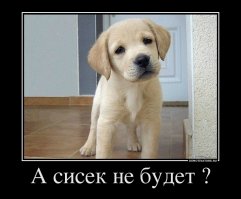 Вот как нужно работать! Подсмотрено на Порнхабе