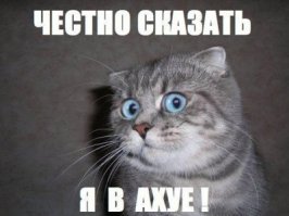 шта?