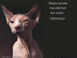 Голые и страшные