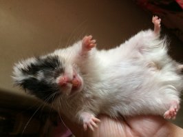 А вот моя