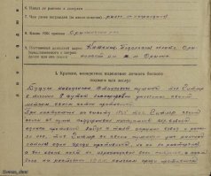 Деза это все. Вот как Гитлер замаскировался