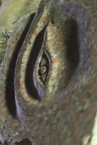 Правильно смотреть так)