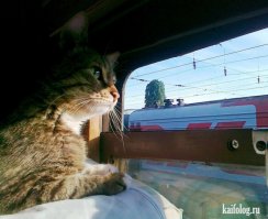 В Петербурге открылся крупнейший в Европе музей железных дорог