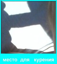 Семь анекдотов к 7 ноября