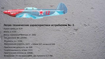Американка из России про Отечественную Войну