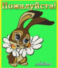 Зрелищные гонки дронов вокруг строящегося «Лахта-центра»