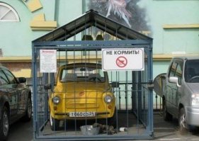 Фотоподборка за 07.11.2017