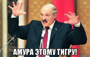 На сотрудницу Калининградского зоопарка напал тигр