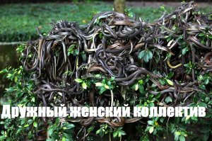 Невообразимо крутые факты о необитаемых островах, которые вы могли не знать