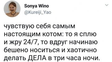 Веселые позитивные фото! Все взято из реальной жизни!