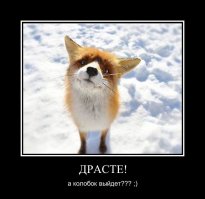 Свежая подборка демотиваторов, которые поднимут вам настроение