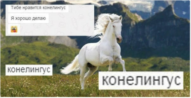 Смешные комментарии из социальных сетей