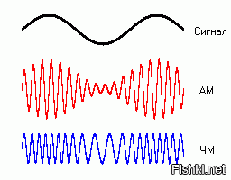 То есть глубокоуважаемый Сергей Петрович Капица, по-ствоему, ничего не слышал про модуляцию?! Да ни в жисть не поверю!
Модуляция (лат. modulatio - мерность, размерность)   процесс изменения одного или нескольких параметров высокочастотного модулируемого колебания по закону информационного низкочастотного сообщения. То есть процесс модуляции означает процесс, при котором высокочастотная волна используется для переноса низкочастотной волны
В системах с амплитудной модуляцией (АМ) модулирующая волна изменяет амплитуду высокочастотной несущей.
Частотная модуляция (ЧМ)   вид аналоговой модуляции, при котором информационный сигнал управляет частотойнесущего колебания. По сравнению с амплитудной модуляцией здесь амплитуда остаётся постоянной.