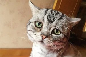 бедняжка ....