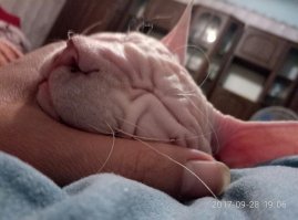 Голые и страшные