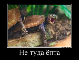 22 открытки обо всем на свете