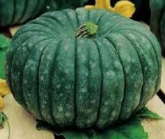 эхто он еще авиабомбу не видел