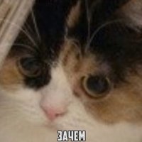 Мужчина не послушался врачей, предупреждавших об опасностях операции по смене цвета глаз, и ослеп