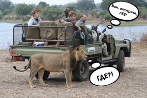 Как создаются фото-шедевры? Вся правда о постановочных фото в 25 примерах