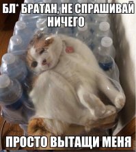 Котенок Печенька выбрала совсем неправильное место для игр и поплатилась за это