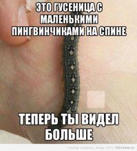 Свежая подборка из серии "Теперь я видел все!"