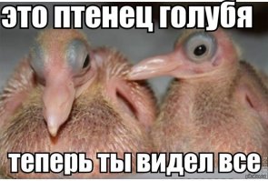 Свежая подборка из серии "Теперь я видел все!"