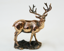 Присвоено звание" бабораба" I степени с вручением статуэтки "Золотой Алень"