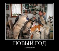 10 вещей,  о которых нужно знать, если планируете встречаться с собаковладельцем