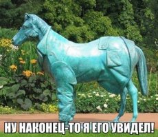 Свежая подборка из серии "Теперь я видел все!"