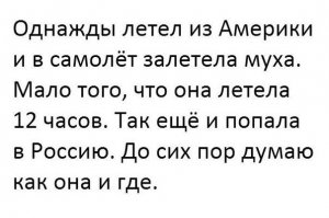 Интересно откуда она залетела? Гналась за самолетом и влетела в форточку в туалете?