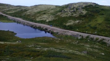 Ездил за грибами туда. Грибов море просто. Единственно, 120 километров надо ехать, 80 из которых асфальт (тогда был далеко не самый хороший) и 40 км по грунтовке.
Фото снимал на тапок, потому качество такое хорошее :). Фото 2014 года.