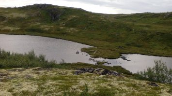 Ездил за грибами туда. Грибов море просто. Единственно, 120 километров надо ехать, 80 из которых асфальт (тогда был далеко не самый хороший) и 40 км по грунтовке.
Фото снимал на тапок, потому качество такое хорошее :). Фото 2014 года.