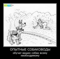 10 вещей,  о которых нужно знать, если планируете встречаться с собаковладельцем