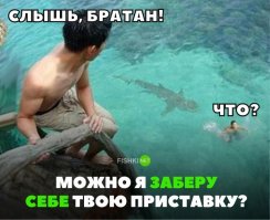 Какая она - жизнь, после нападения акулы