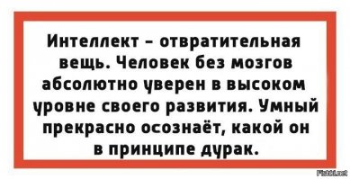 Как определить в человеке — дурак он или умный