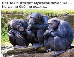 Очередная порция картинок с подписями