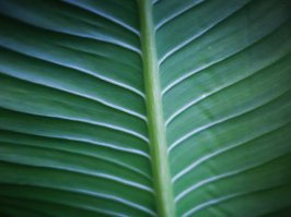 Предпочитаете естественные материалы: дерево, гранит. Минимум пластика. А если вас окружают растения, то вообще замечательно.