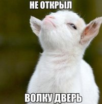 Сила взгляда: 19 сильнейших фото, которые вошли в историю