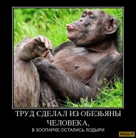 Если вы все время болеете, то в этом виновата карьера