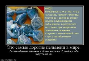 Пельмень требуют наши сердца: самый вкусный пост на Фишках