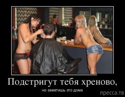 17 откровений профессиональных парикмахеров об их нелегкой доле