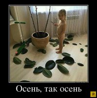 16 забавных фото-доказательств, что дети - воплощение хаоса